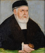 Portrait of Sigismund I of Poland (1467-1548), c. 1565.