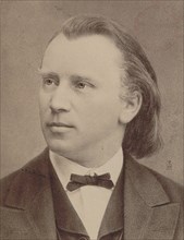 Portrait of the composer Johannes Brahms (1833-1897), 1876.