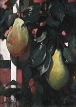 Pears, 1920.