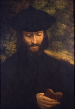 Portrait of a reading man, ca 1522.