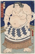 The wrestler Shiranui Mitsuemon, wearing an apron (kesho-mawashi), 1860.