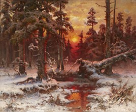 Winter sunset in a Pine Forest, 1898.