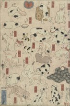 Cats. From the Series Fifty-three Stations of the Tokaido, 1848-1849.