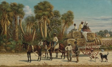 The Cotton Wagon, 1880s.