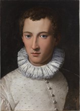 Portrait of a young man  , 1565-1569.