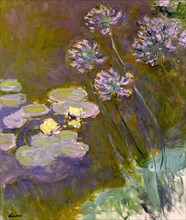 Water Lilies and Agapanthus, 1914-1917.