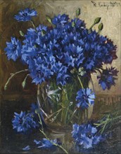 Bouquet of cornflowers, 1935.