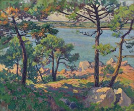 Pines over the Trieux river, 1913.