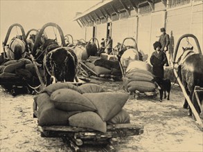 The food brigade (Prodotryad) in Siberia, 1920.
