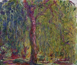Weeping Willow, 1918-1919.