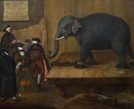The Elephant, 1774.