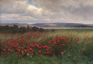 Poppies, 1909.