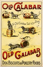 Old Calabar Dog Biscuits, c.1900. Artist: Unknown