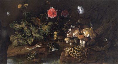 'Still life with a snake, frogs, tortoise and lizard', 1656-1673. Artist: Paolo Porpora