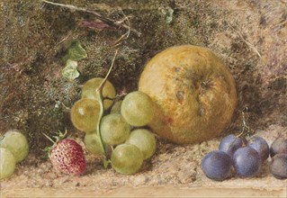'Fruit piece', c1855. Artist: William Henry Hunt.