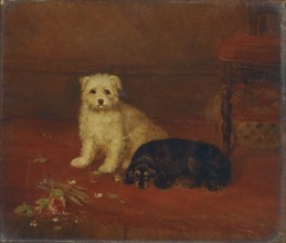 'Bad and Bijou', 1844-1857. Artist: BA Howe