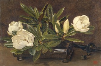 'Magnolias', 1867-1920. Artist: Alfred William Parsons.