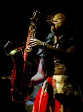 Yolanda Brown, Imperial Wharf Jazz Festival, London, 2009. Artist: Brian O'Connor.