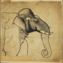 Head of an elephant, 1700-1710. Artist: Unknown.
