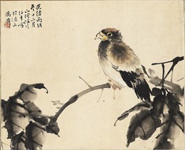 Bird on a branch, 1886. Artists: Unknown, Ren Yi.