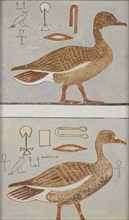 Copy of wall painting from a private tomb of Kaemankh, (III, 1, 132), Giza, geese, 20th century. Artist: Anna (Nina) Macpherson Davies.