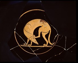 Attic red-figure cup of dog scratching his ear with a hindleg, inside tondo, 5th century BC. Artist: Euergides Painter.