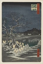 New Year's Eve Foxfires at the Changing Tree, Oji, 19th century. Artist: Ando Hiroshige.