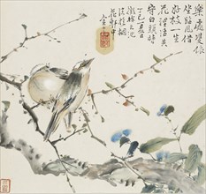 A pair of Chinese Bulbul birds, 1857. Artist: Jin Yuan.