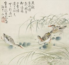 Three ducks swimming in a pool, 1857. Artist: Jin Yuan.