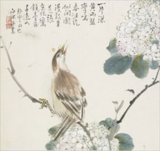 A Chinese Hwamei, 1857. Artist: Jin Yuan.