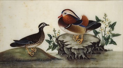 Painting - Two ducks and flowering water plants by a pond, Late c19th. Artist: Sunqua.