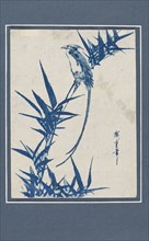 Ukiyo-e print - Bird on a branch in blue, c1820-1858. Artist: Ando Hiroshige.