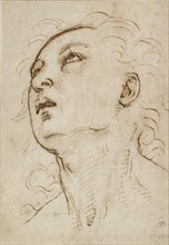 Head of a young Man gazing upwards, c1497-c1504. Artist: Raphael.