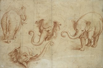 Four Studies of an Elephant, early 16th century. Artist: Giulio Romano.