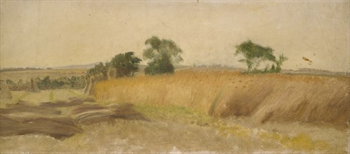 Study of a Cornfield, mid 19th century. Artist: George Heming Mason.