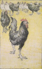 Cockerel, followed by black and white Hens, 1899. Artist: Theophile Alexandre Steinlen.