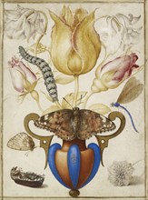 Arrangement of Flowers in a Vase, with Insects, 1594. Artist: Joris Hoefnagel.