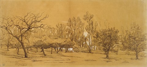 View of an Orchard at Saint-Denis, mid 19th century Artist: Charles Francois Daubigny.