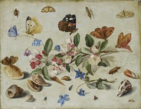 Flowers and Insects, late 1650s or early 1660s. Artist: Jan van Kessel.