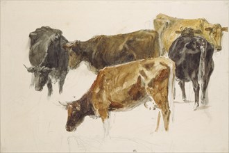 Study of a Group of Cows, c1801. Artist: JMW Turner.