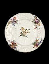 Plate, with flowers (daffodil centre), 1755-1760. Artist: Unknown.