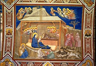 'Crib', painting by Giotto.