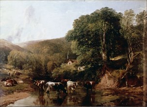 'A lush canyon with cattle' by T.S. Cooper.