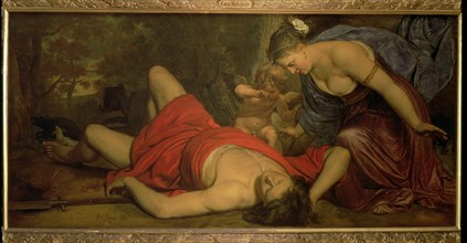 'Venus mourning the death of Adonis' by Cornelis Holsteyn.