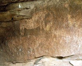 Levantine cave paintings from group Albarracín (Teruel) in the Abrigo Callejon of the Plou, cave ?