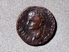 Roman coin from the first half of the 1st. century, having a head facing left, the issuing author?
