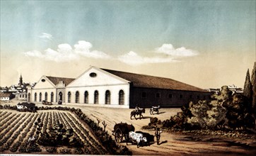 Exterior view of the building and vineyards of Bodegas of Jerez de la Frontera, lithography from ?