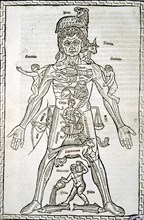 Male body with signs of the Zodiac, sheet in the work 'Epilogue of medicine and surgery suitable ?