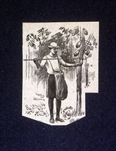 Native picking up berries of the cocoa tree, drawing 1914.