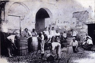 Workshop of handcrafted barrels construction for the wine industry, 1900.